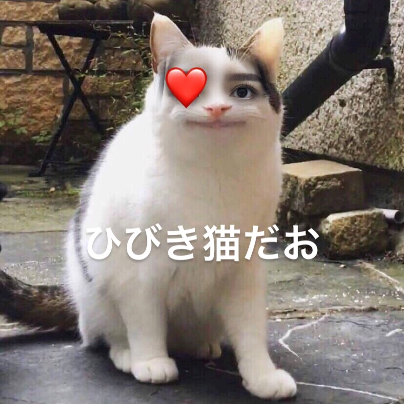 コットンクラブ ひびき